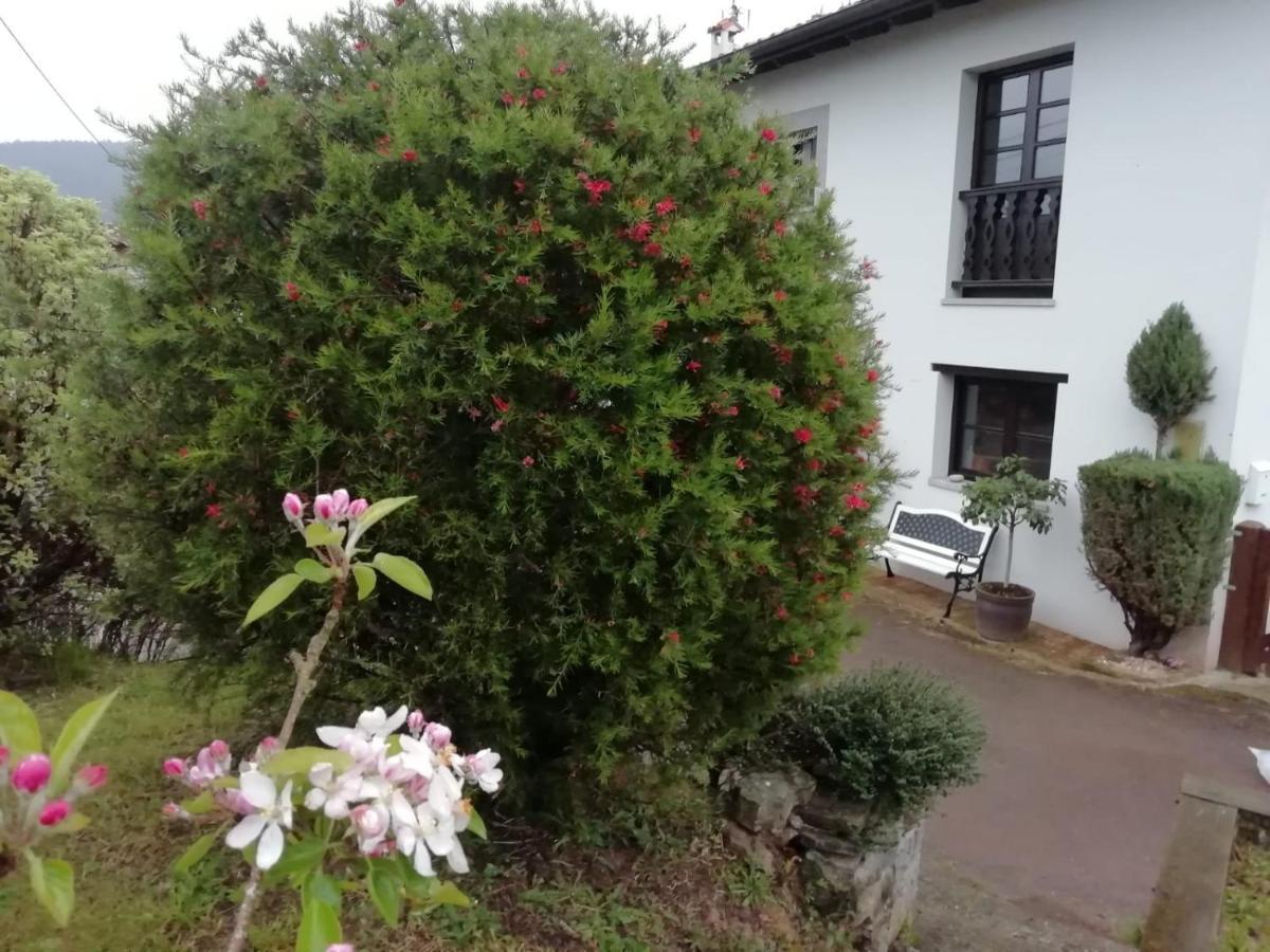 比利亚维西奥萨 El Oteru I旅馆 外观 照片